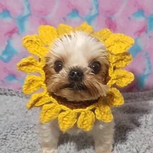Richie added a photo of their purchase