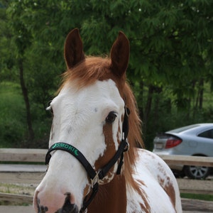 Marija added a photo of their purchase