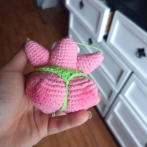 Paz added a photo of their purchase