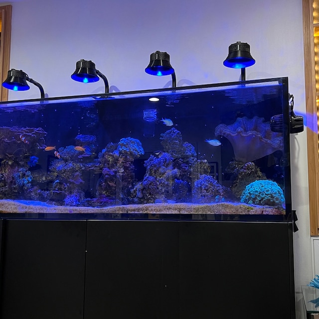 Light Shade for Kessil A360x Tuna Blue Light