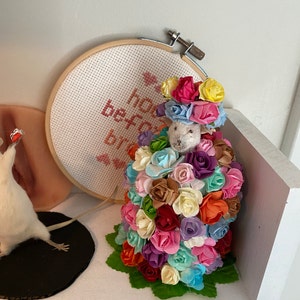 Ellie added a photo of their purchase