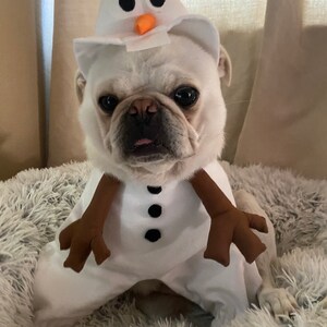 Dog top olaf costume