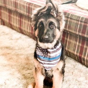 Taylor Murtha added a photo of their purchase