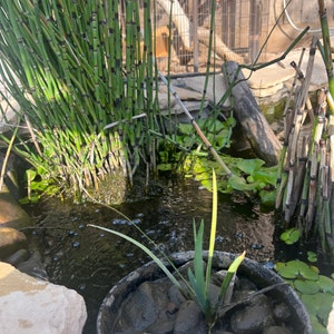 Four added a photo of their purchase