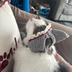 Chandelle added a photo of their purchase