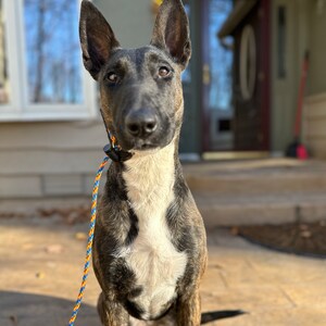 o added a photo of their purchase