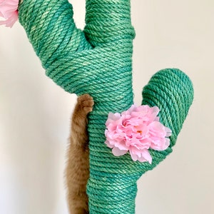 Get Cactus Cat Tree Uk Photos