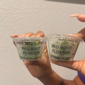 Puddinpophop added a photo of their purchase