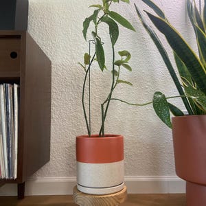 Laura added a photo of their purchase