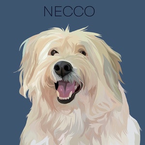 Melli さんが購入した商品の写真を追加しました