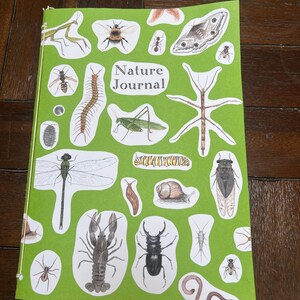 DIGITAL PDF Version - Nature Journal for Kids - 102 Pages