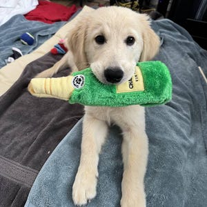 Rachel added a photo of their purchase