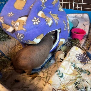 Lynne added a photo of their purchase