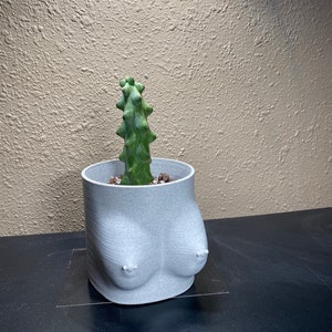 3D Printed Booby Pot and boob planter Small Booby size with and without piercings