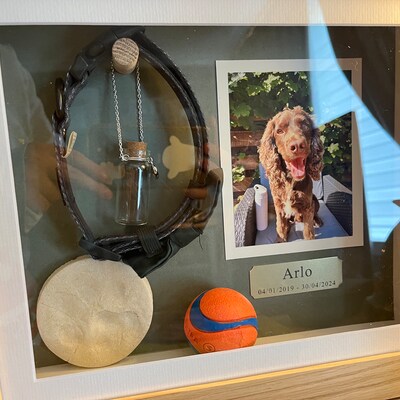 PORFOYO Pferde Zaumzeughalter 6 Stück - Metall Trensenhalter Für Stall & Sattelkammer