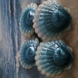 Shanette R. Nobleton added a photo of their purchase