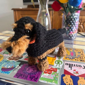 Sofía added a photo of their purchase