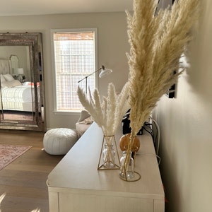 coral added a photo of their purchase
