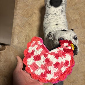 Kalvin adicionaram uma foto da sua compra