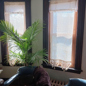 Pauline added a photo of their purchase