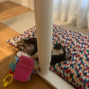 Petra added a photo of their purchase