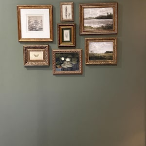 Robin added a photo of their purchase