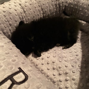 Tiara added a photo of their purchase