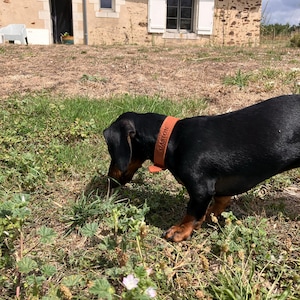 Carole added a photo of their purchase