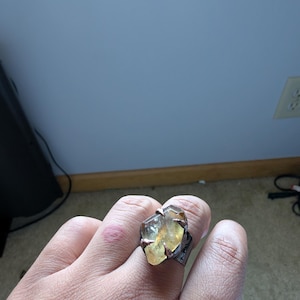Celestia added a photo of their purchase