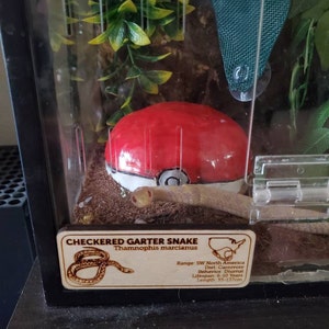 Michelle added a photo of their purchase