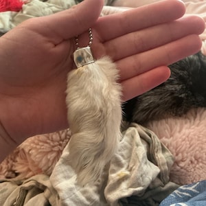 Lucy added a photo of their purchase