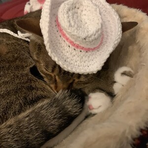 Joan ha añadido una foto de su compra