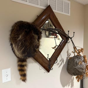 Scott added a photo of their purchase