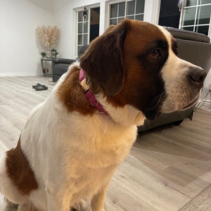 Katie added a photo of their purchase