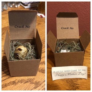 Renee added a photo of their purchase