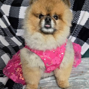 Lauren lade till en bild av sitt köp