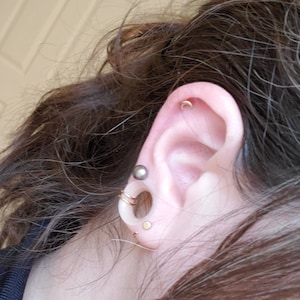 Tascha added a photo of their purchase