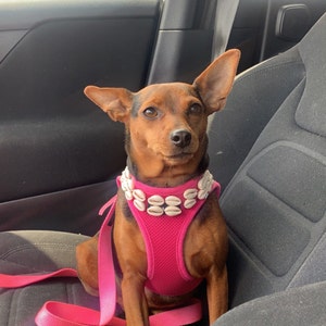 rheanna added a photo of their purchase