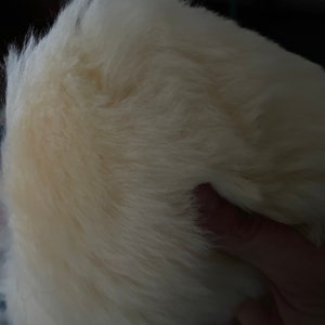 Candi added a photo of their purchase