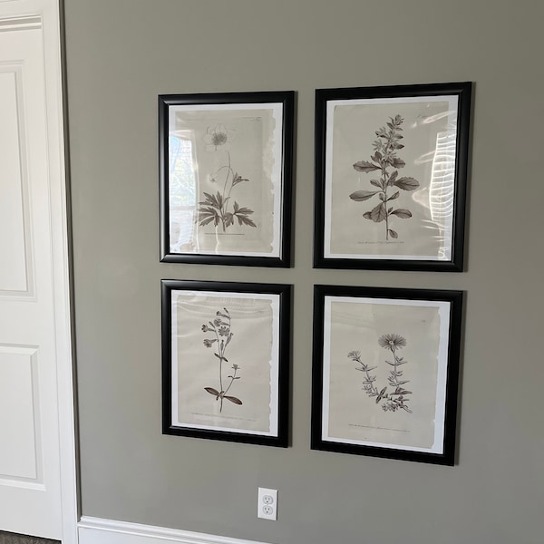 Set of 4 Botanical Prints in French Gray | Vintage Farmhouse Wall Decor ...