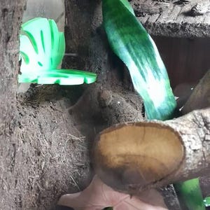 Tara さんが購入した商品の写真を追加しました