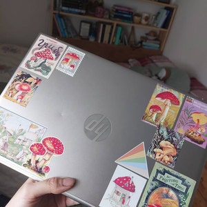 Lux added a photo of their purchase