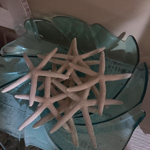 Tracy added a photo of their purchase