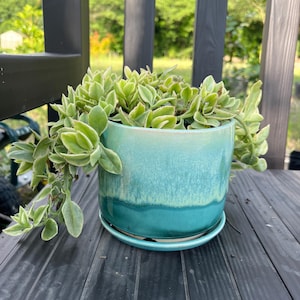 Kim added a photo of their purchase
