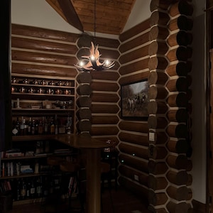 Molly added a photo of their purchase