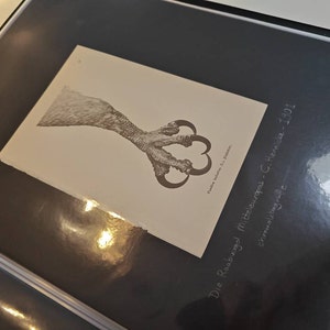 Dirk added a photo of their purchase