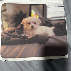 Sandy adicionaram uma foto da sua compra