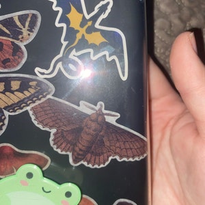 rachelle adicionaram uma foto da sua compra