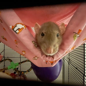 Claire heeft een foto van de aankoop toegevoegd