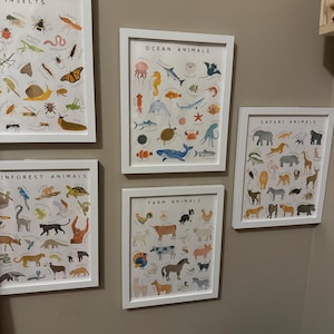 Jordan ha añadido una foto de su compra